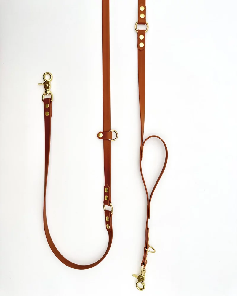 Laisse multi-positions PVC – Image 3
