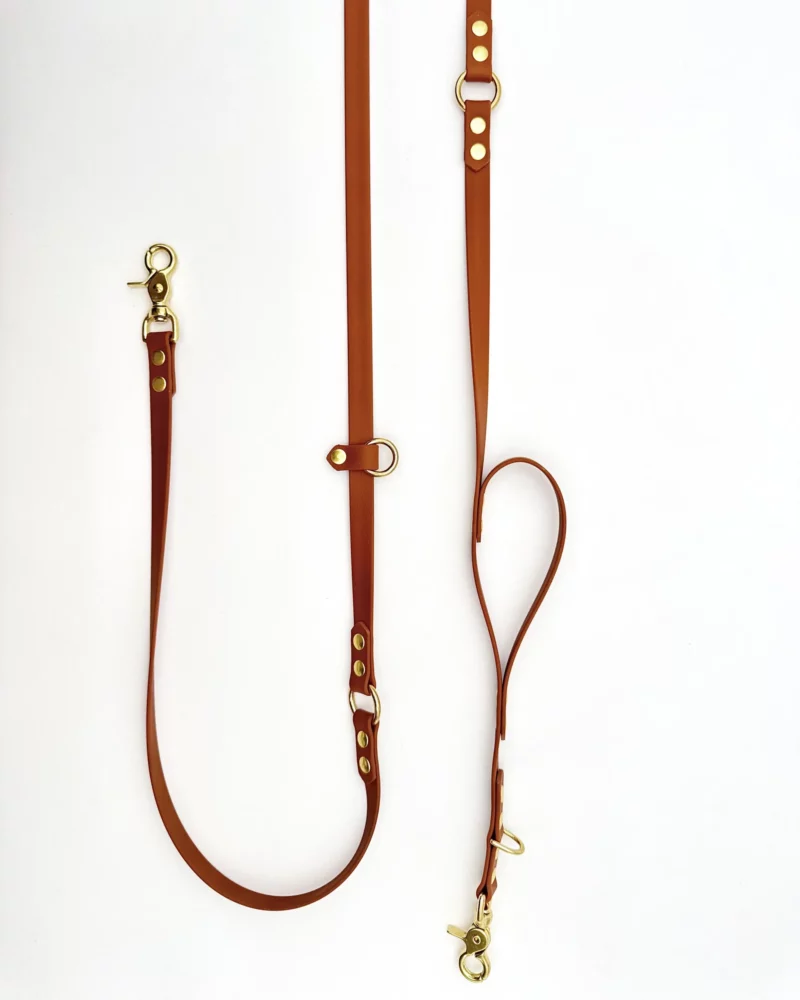Laisse multi-positions PVC – Image 3