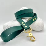 Laisse simple PVC
