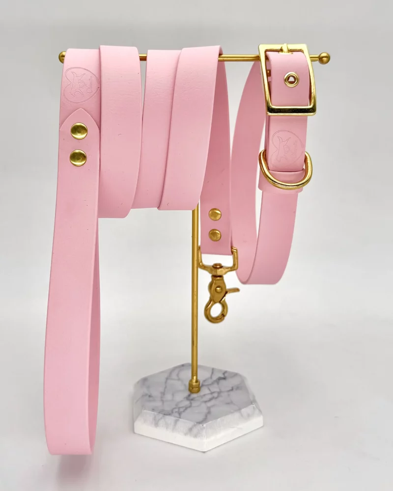 Laisse simple PVC – Image 9