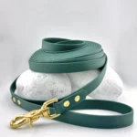 Laisse multi-positions PVC