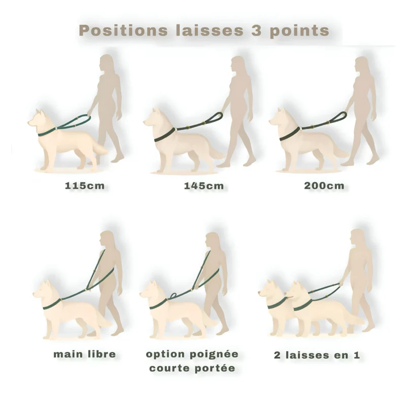 Laisse 3 points PVC – Image 16