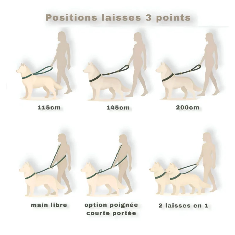 Laisse multi-positions BioThane® – Image 16