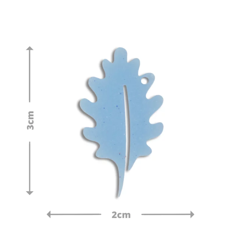 Médaille Kashi – Image 2