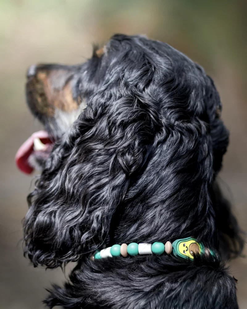 Abokado Anti-Parasit Hundehalsband – Bild 2