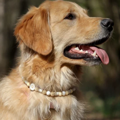 Collier anti-parasitaire Den’en-fū – à composer 🎨