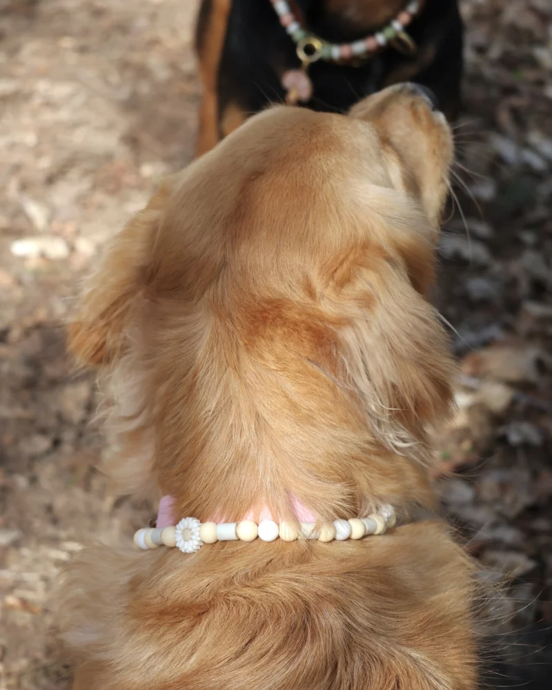 Den’en-fū Anti-Parasite Collar – Customizable 🎨 - Image 7