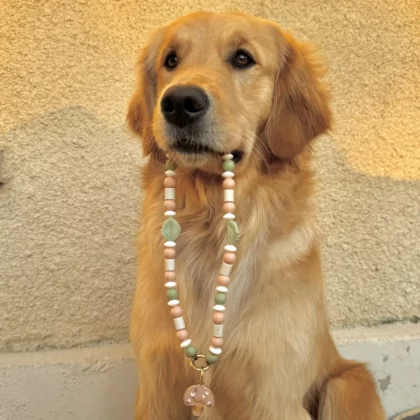 Collier anti-parasitaire Mori – à composer 🎨