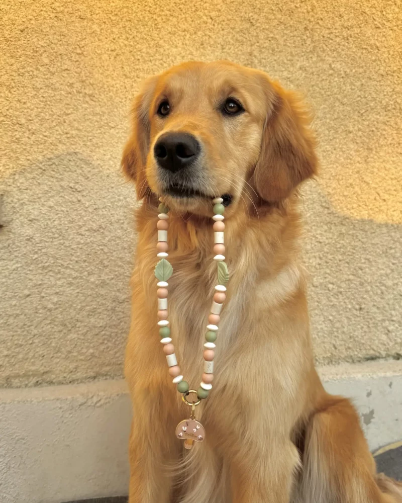 Collier anti-parasitaire Mori – à composer 🎨 – Image 2