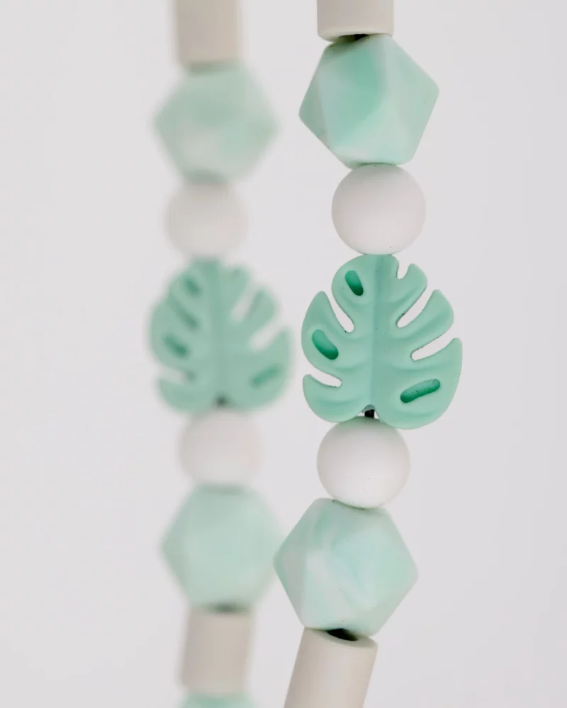 Collier anti-parasitaire Pasuteru Monstera – Image 4