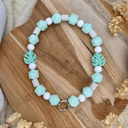 Collier anti-parasitaire Pasuteru Monstera