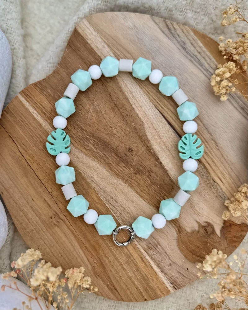 Collier anti-parasitaire Pasuteru Monstera