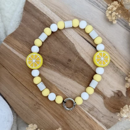 Collier anti-parasitaire Remon
