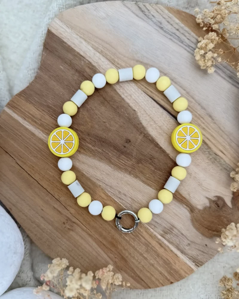Collier anti-parasitaire Remon