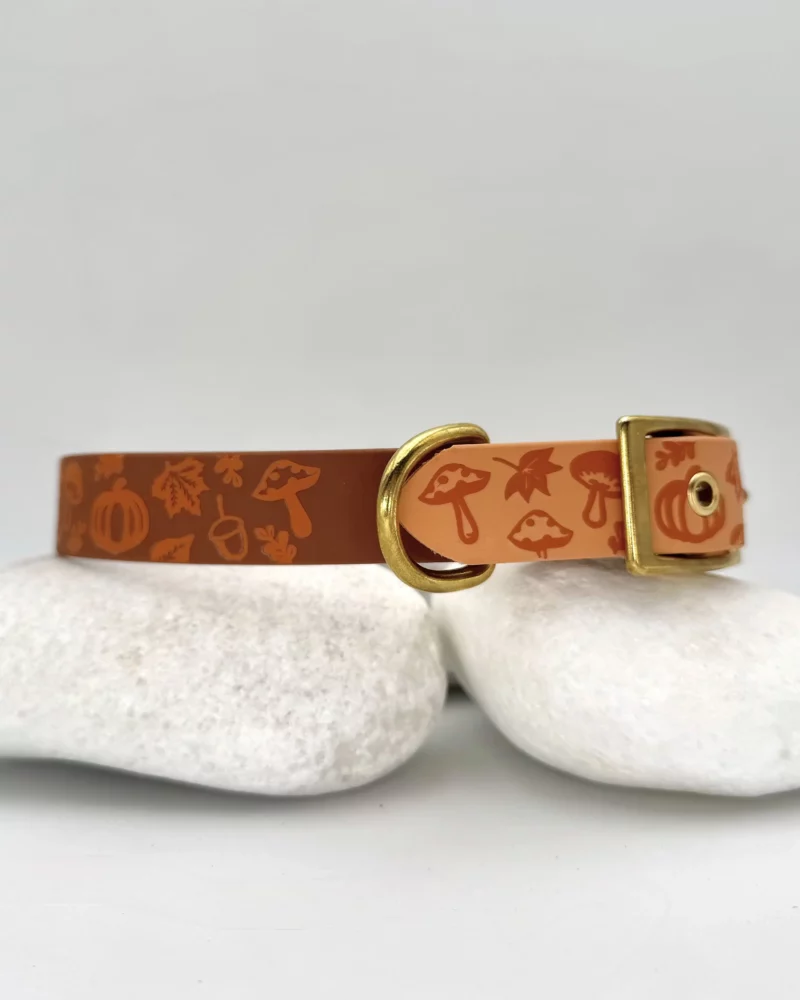 Collier bicolore 25mm BioThane® – Aki no Mori – Image 7