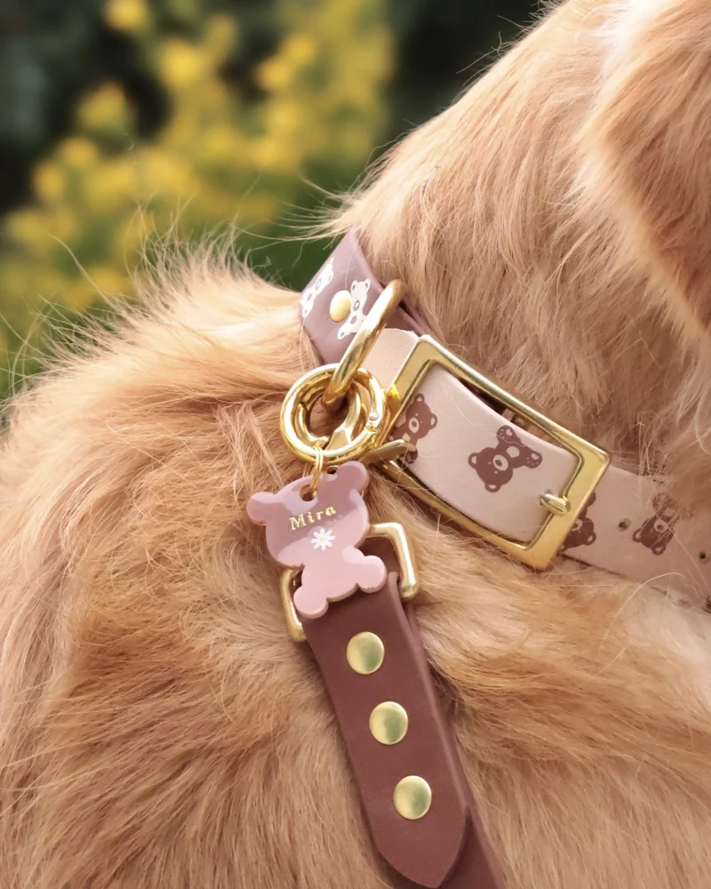 Collier bicolore 25mm BioThane® – Kuma no Nuigurumi – Image 5
