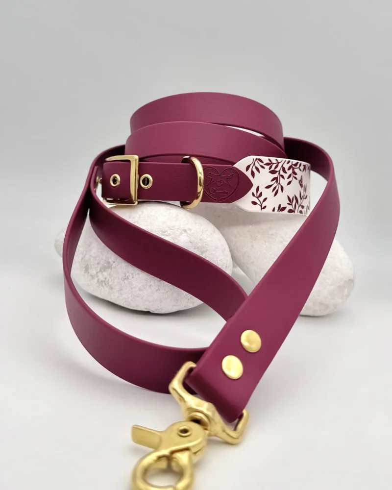 Collier bicolore 38mm BioThane® - Aki no chō – Image 13