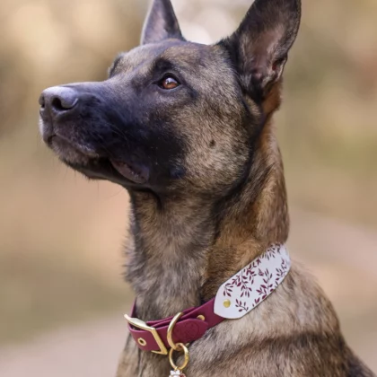 Collier bicolore 38mm BioThane® – Aki no chō