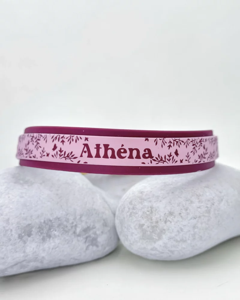 Collier double 25mm BioThane® - Aki no chō – Image 5