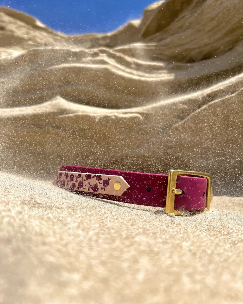 Collier double 25mm BioThane® - Popī – Image 3