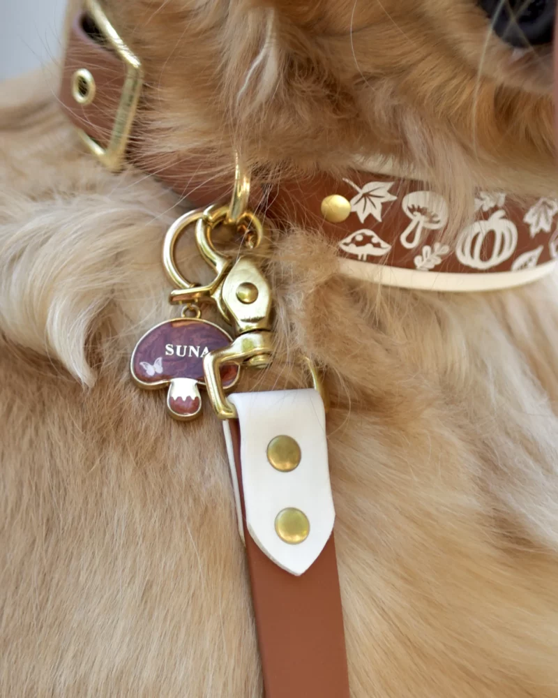 Collier double 38mm BioThane® - Aki no mori – Image 11