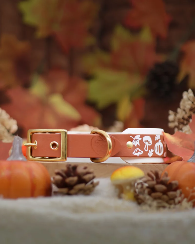 Collier double 38mm BioThane® - Aki no mori – Image 3