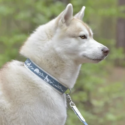 Collier double 38mm BioThane® – Ōkami