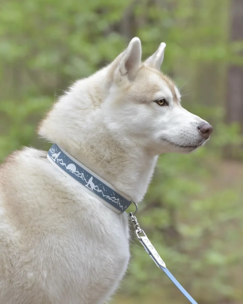 Collier double 38mm BioThane® – Ōkami – Image 2