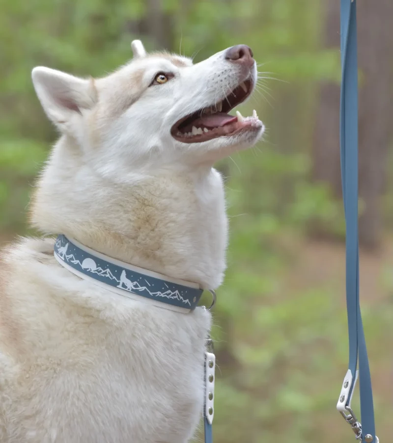 Collier double 38mm BioThane® – Ōkami – Image 5