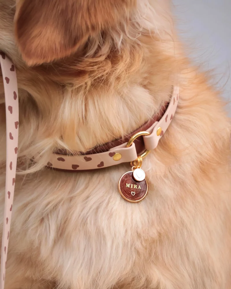 Collier double avec anneau 25mm BioThane® – Kokoro – Image 8