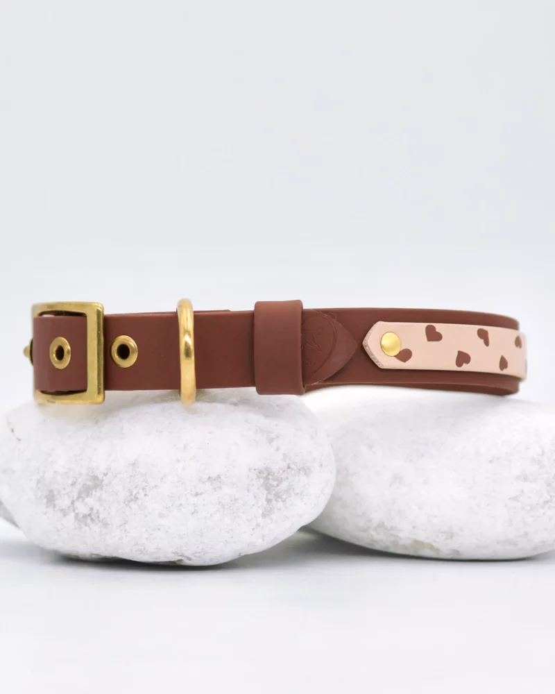Collier double avec anneau 25mm BioThane® – Kokoro – Image 3