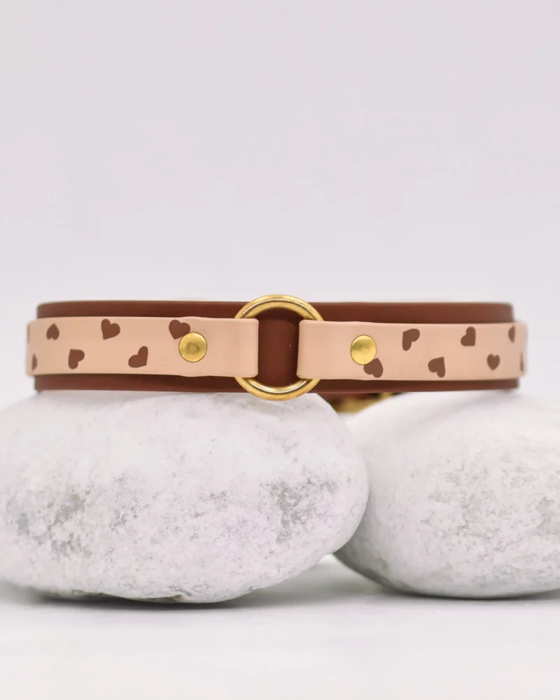 Collier double avec anneau 25mm BioThane® – Kokoro
