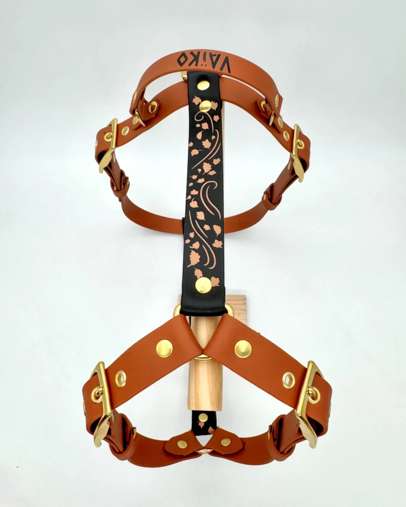 Harnais 25mm BioThane® - Aki no kaze – Image 4