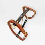 Collier bicolore 25mm BioThane® – Aki no Mori