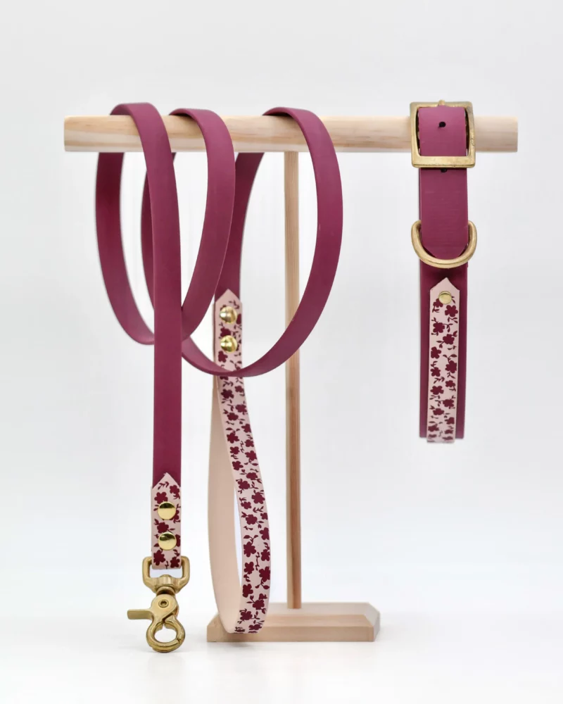 Laisse bicolore BioThane® - Popī – Image 8