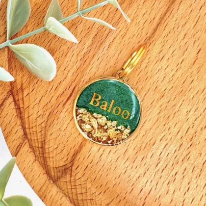 Médaille Kin no ha