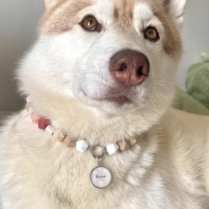 Médaille Sakura