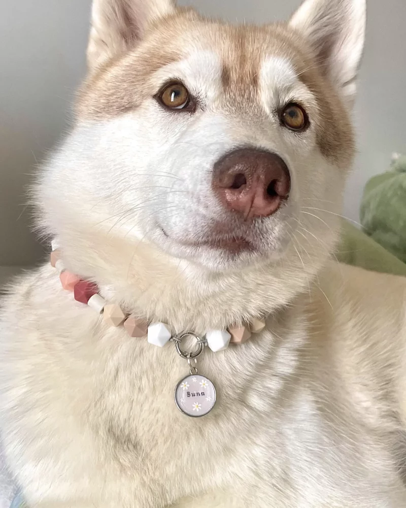 Sakura Hundemarke – Bild 2