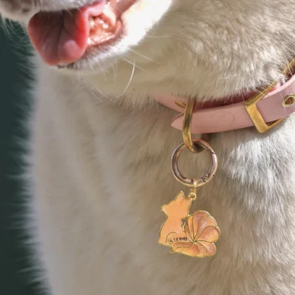 Médaille Kitsune Aki