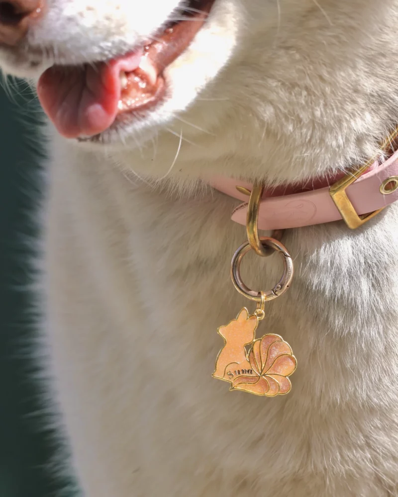 Chapa Kitsune Aki - Imagen 2