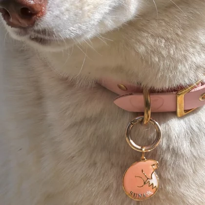 Médaille Kitsune Yume Sakura
