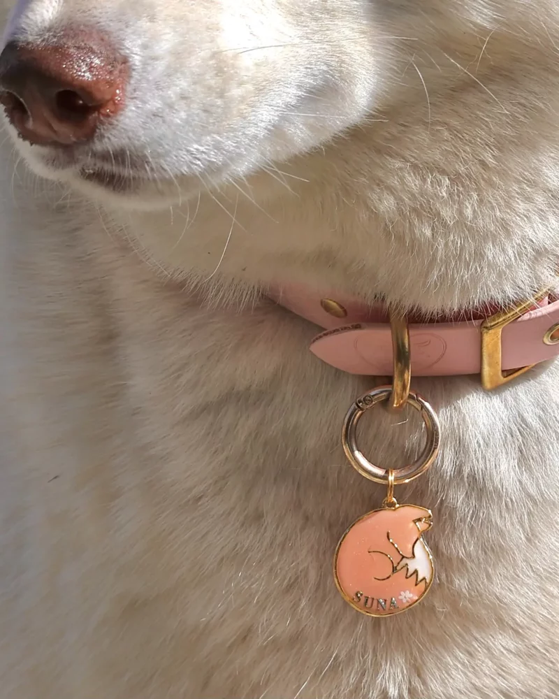 Médaille Kitsune Yume Sakura – Image 2