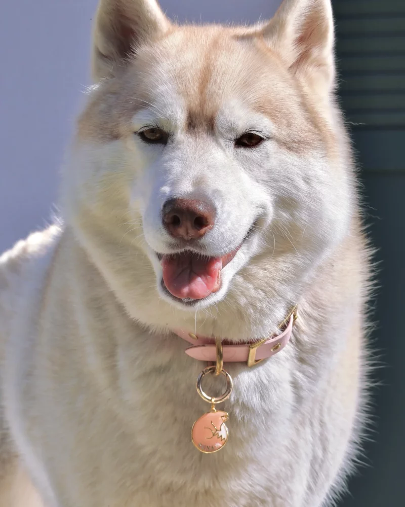 Médaille Kitsune Yume Sakura – Image 3