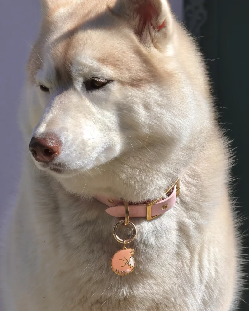 Médaille Kitsune Yume Sakura – Image 6