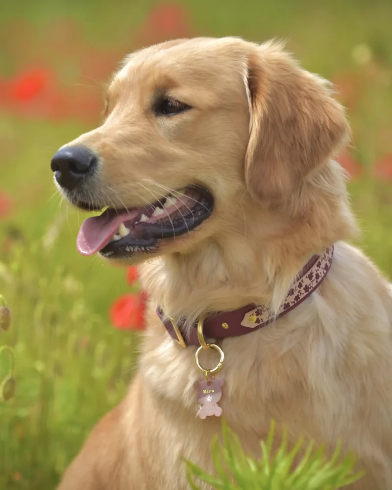 Kuma Hana Hundemarke – Bild 6