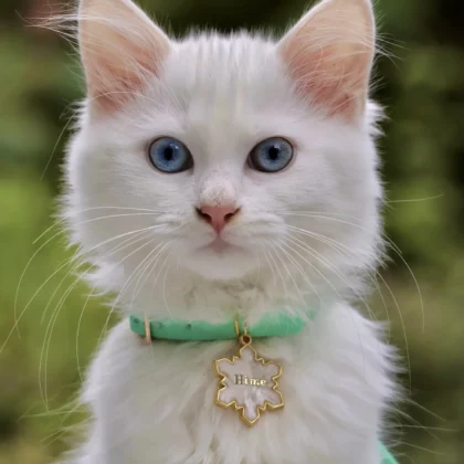 Médaille Yuki