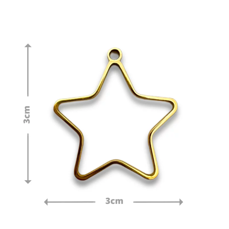 Médaille Yoshi-Suzu – Image 2