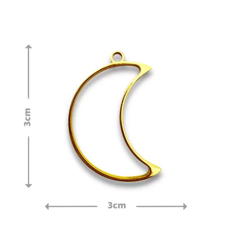 Médaille Tsuki-Yoshi – Image 3