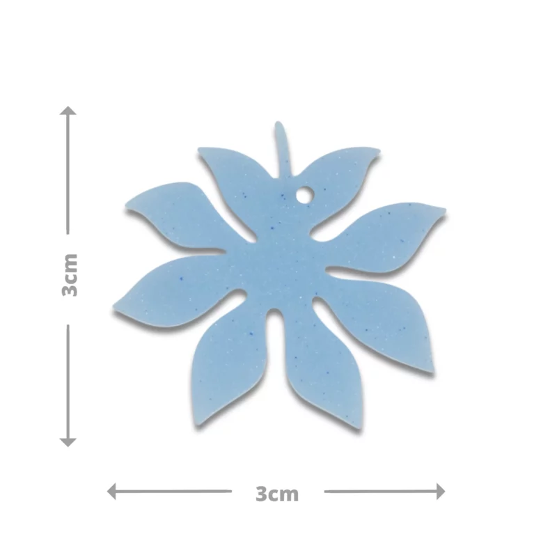 Médaille Chairo – Image 2