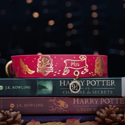 Collier 38mm BioThane® - Harry Potter (Gryffondor)